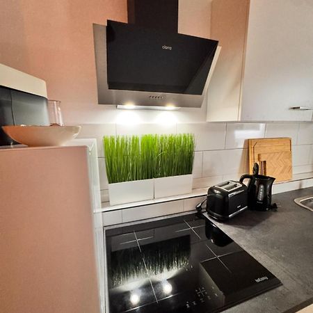 New Apartment In Magdeburg Buckau - Waschmaschine, Smart-Tv, Neues Badezimmer Buitenkant foto