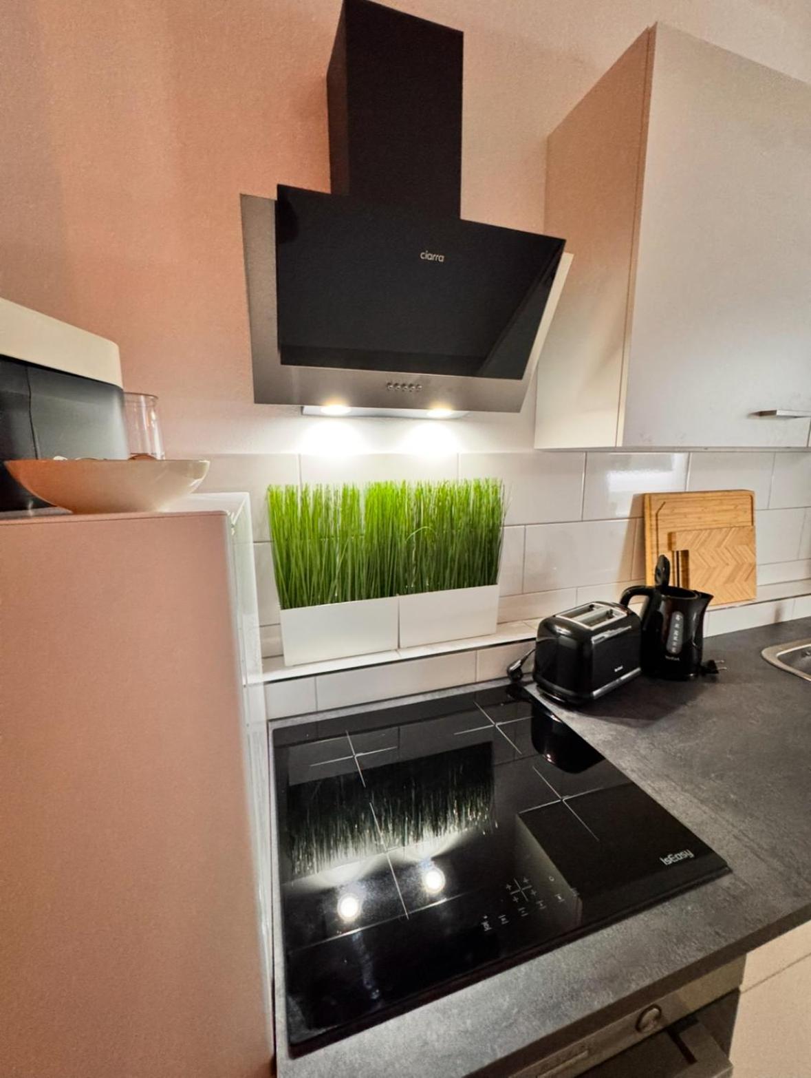 New Apartment In Magdeburg Buckau - Waschmaschine, Smart-Tv, Neues Badezimmer Buitenkant foto